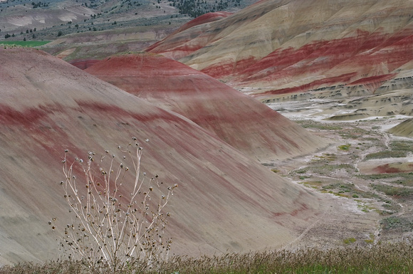 Painted Hills in Oregon